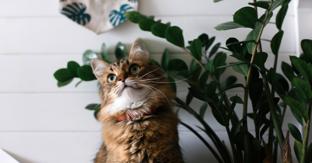 HVAC Contractors Rhode Island The Pros of Ductless HVAC Systems